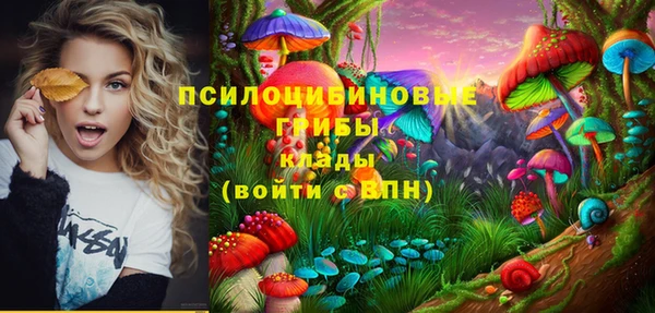 гидра Бугульма