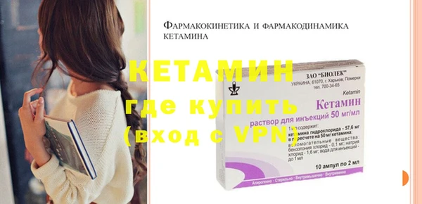 прущие грибы Бородино