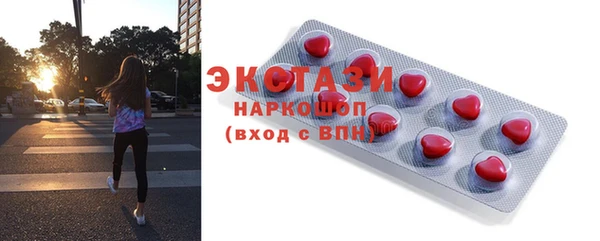прущие грибы Бородино
