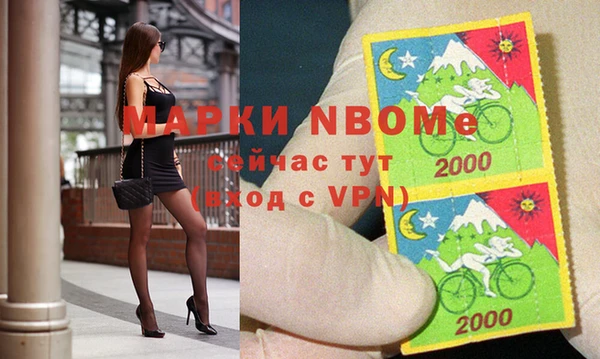 прущие грибы Бородино
