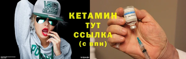 прущие грибы Бородино