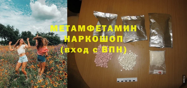 прущие грибы Бородино